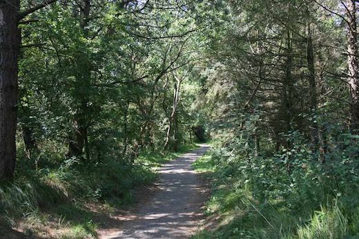 120km Wander- und Radwege erwarten Sie auf Borkum